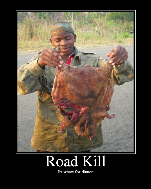 roadkill.png